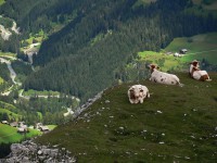 /album/fotogalerie-dolomity/dolomity-27-jpg/