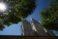 /album/fotogalerie-2012-usa/usa-dovolena-010-jpg/