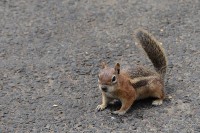 /album/fotogalerie-2012-usa/usa-dovolena-046-jpg/