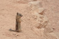 /album/fotogalerie-2012-usa/usa-dovolena-048-jpg/