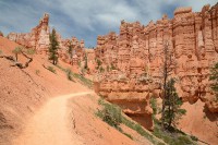 /album/fotogalerie-2012-usa/usa-dovolena-049-jpg/