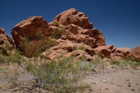 /album/fotogalerie-2012-usa/usa-dovolena-057-jpg/