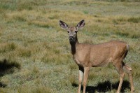 /album/fotogalerie-2012-usa/usa-dovolena-083-jpg/