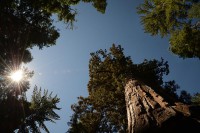 /album/fotogalerie-2012-usa/usa-dovolena-094-jpg/