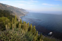 /album/fotogalerie-2012-usa/usa-dovolena-108-jpg/