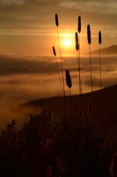 /album/fotogalerie-2012-usa/usa-dovolena-109-jpg/