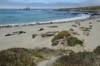 /album/fotogalerie-2012-usa/usa-dovolena-114-jpg/