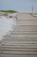 /album/fotogalerie4/sardinie-34-jpg/