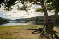 /album/fotogalerie4/sardinie-41-jpg/