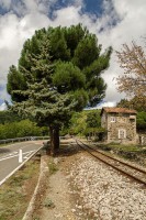 /album/fotogalerie4/sardinie-47-jpg/