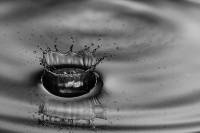 /album/makro/makro-011-jpg/