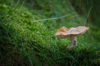 /album/fotogalerie5/rakousko-19-jpg/